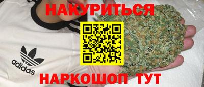 шишки Будённовск