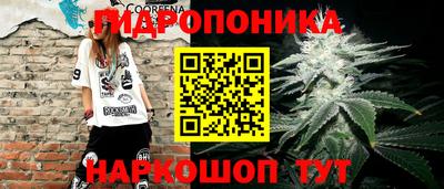 прущие грибы Бугуруслан