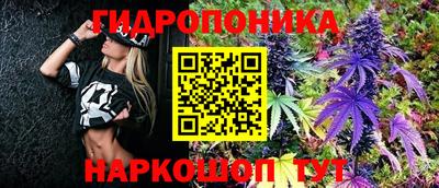 прущие грибы Бугуруслан
