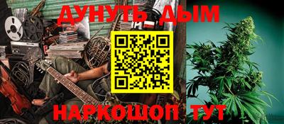 шишки Будённовск