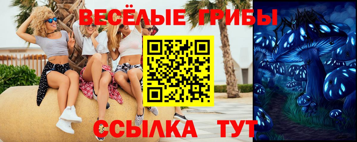 Североморск  закладка  Вход с VPN  Галлюциногенные грибы ЛСД 